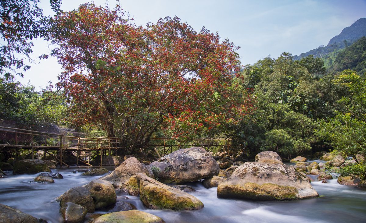 Tour phong Nha